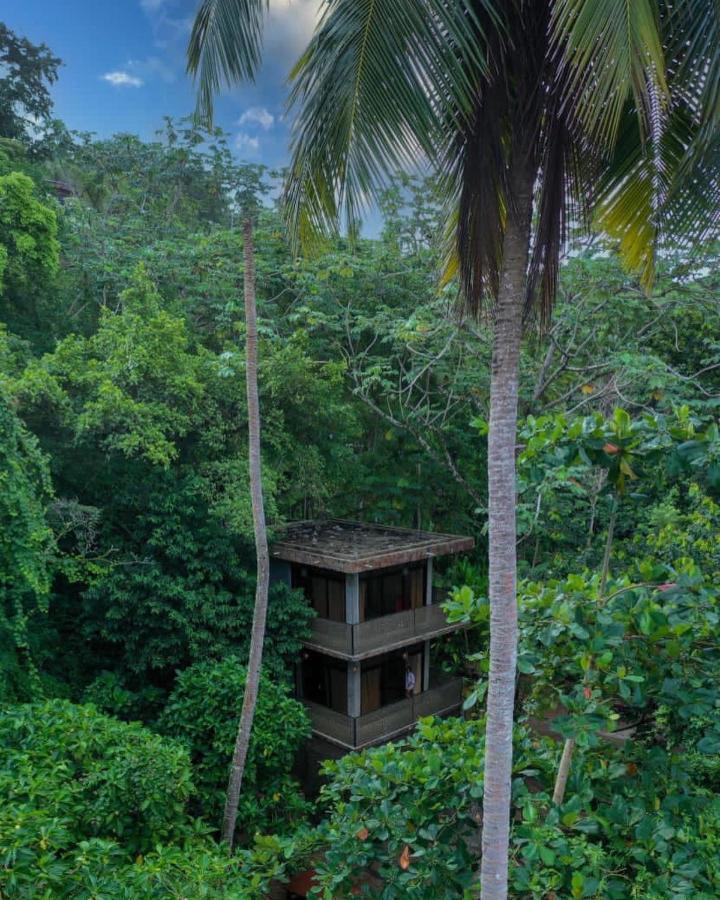 Taino Beach Lofts El Valle Eksteriør bilde